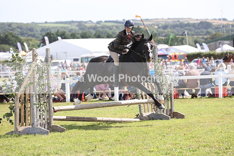 JPP_2220 - Class 19: Working Hunter 60cm