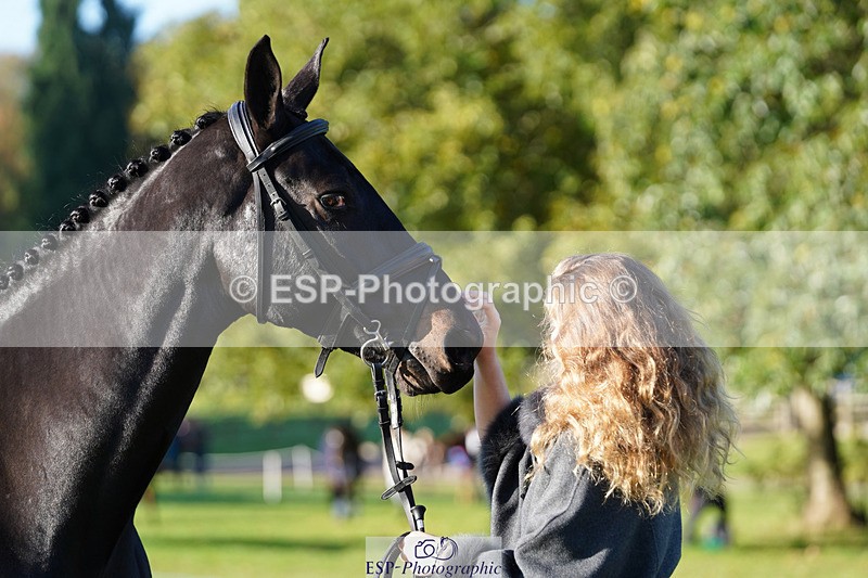 241026-100912-11651 - 002-Ellie.Fredericks-BRITANNIA'S.OLIVE