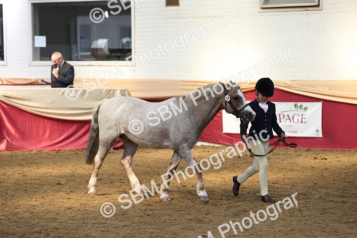 SBM_24127 - Class 905 - Supreme Final - Ridden Veteran