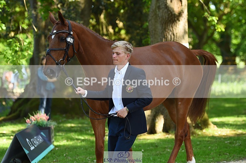 230524-160858-00717 - 251-CLASS_MOVE-Ellie_Healy-WEDTrotUp+DR