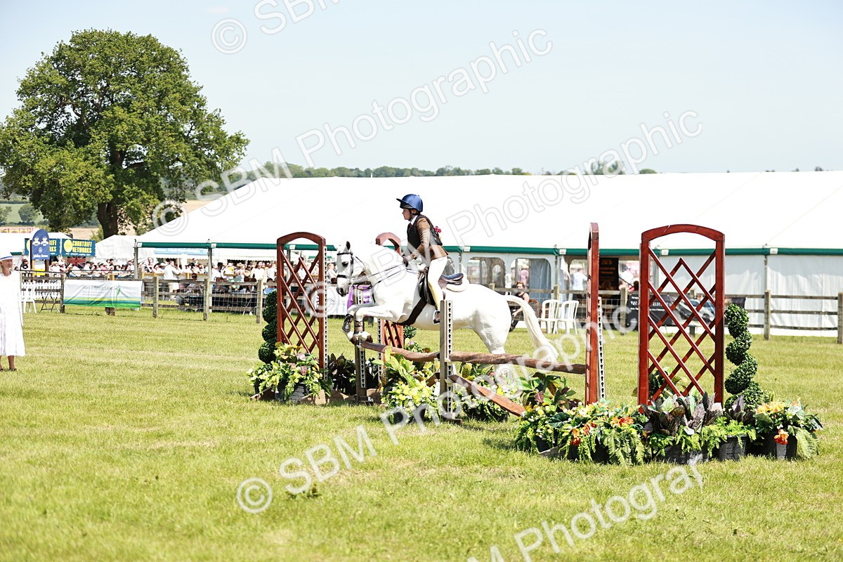 SBM_15490 - Class 108-109 - BSPS LIHS Open Gradle & Nursery Stakes