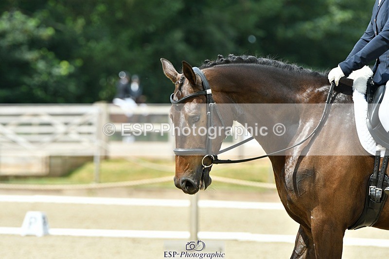 230623-112312-00436 - Cls 3 Novice 23 Start to 11.55 break