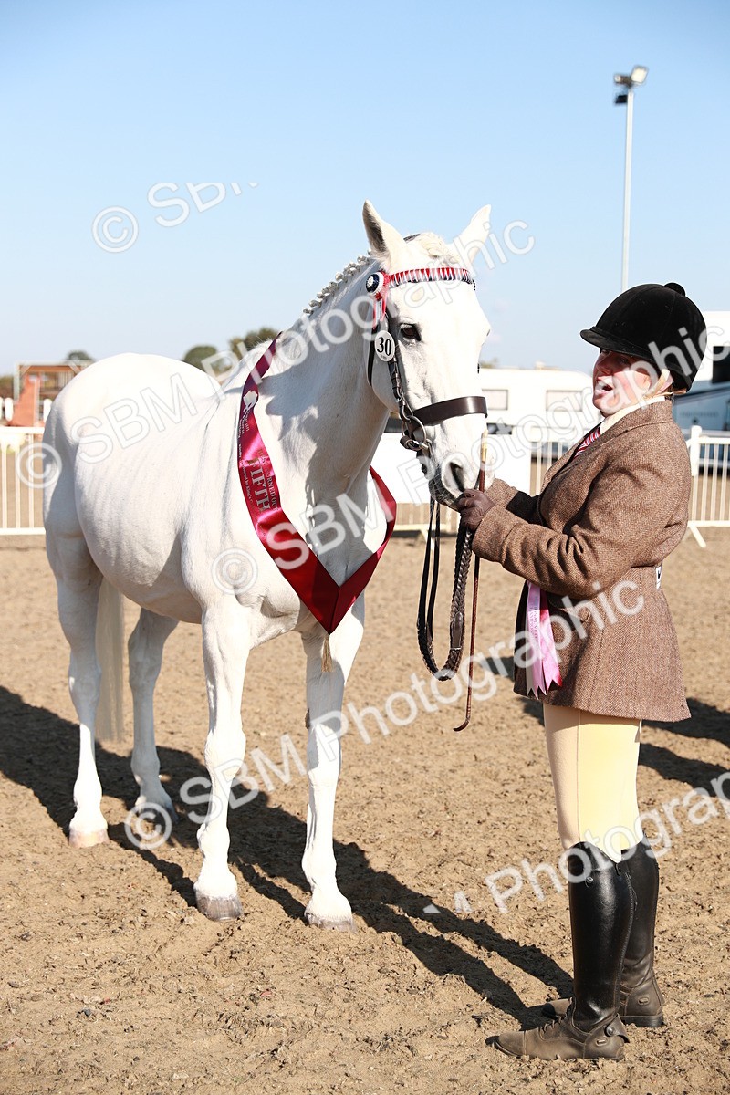 SBM_00133 - Class 40 Best Turned Out IH