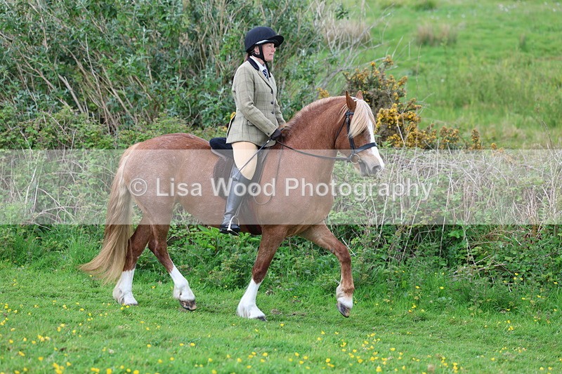 3E7A0628 - Class 5: Ridden M & M Senior