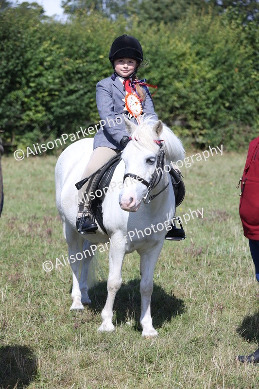 20250831-2567 - Class 16 - Family Pony