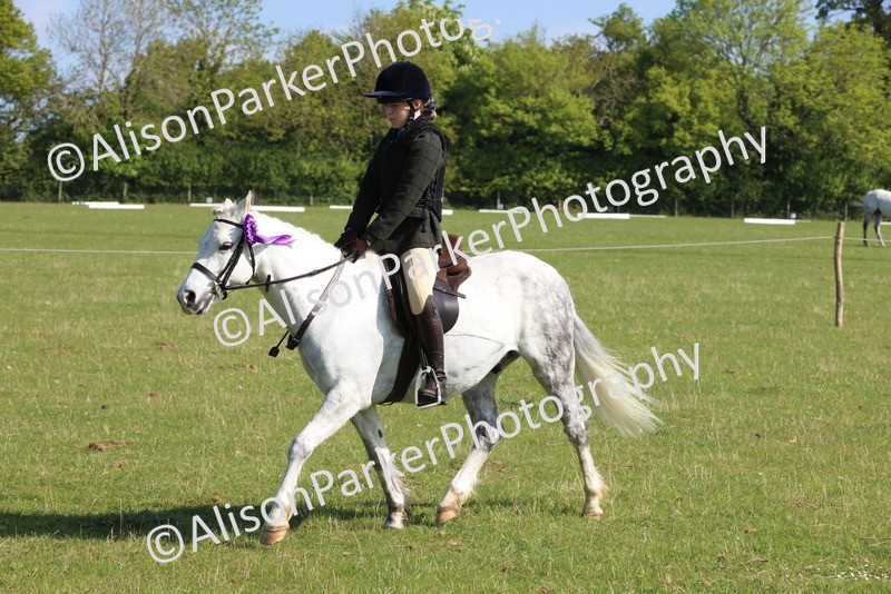 20250427-0609 - Class 17 - Novice Showing