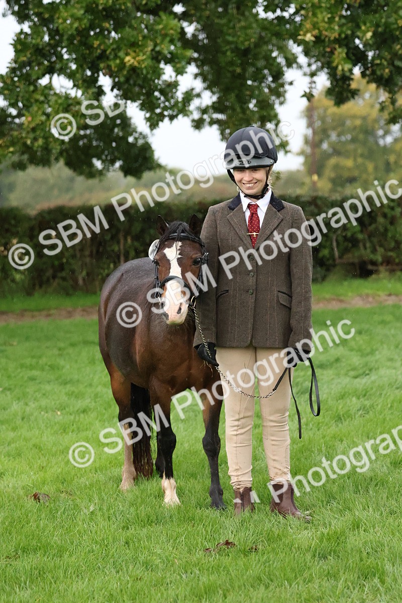 SBM_35300 - S10 - Best In Hand Horse & Pony