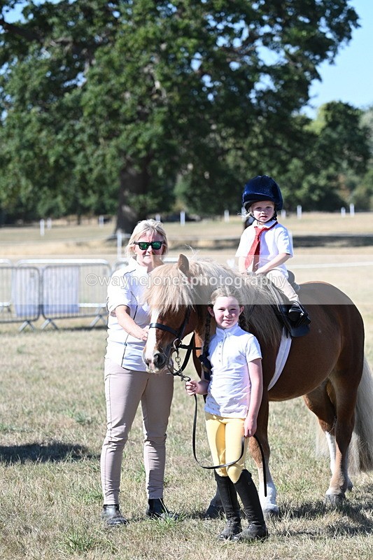 WJ7_1649 - Class 42 Most Handsome Gelding