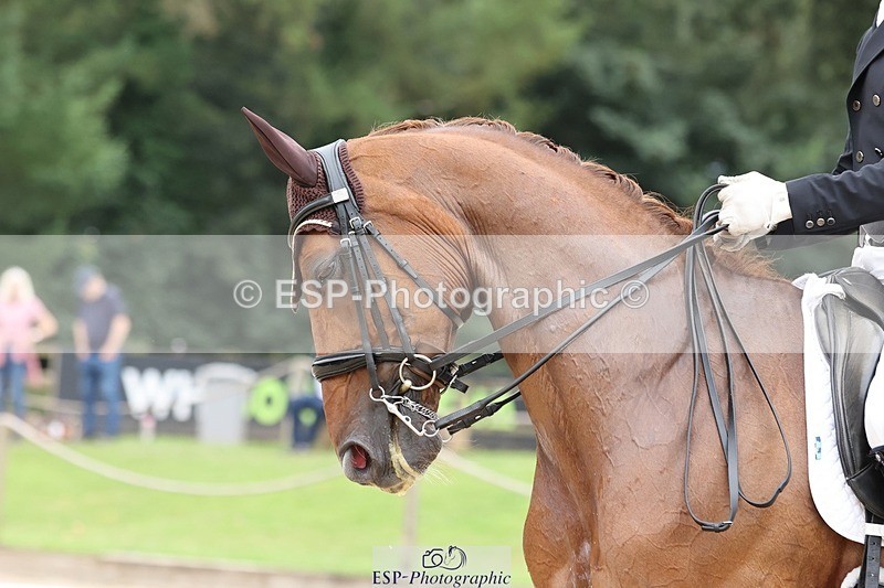 240810-161848-04361 - 220-Mark.Forrest-Flavio.B