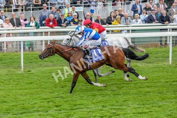 180523-Race 4-The Foxes-7380 - Race 4 3.35pm Al Basti Equiworld Dubai Dante Stakes