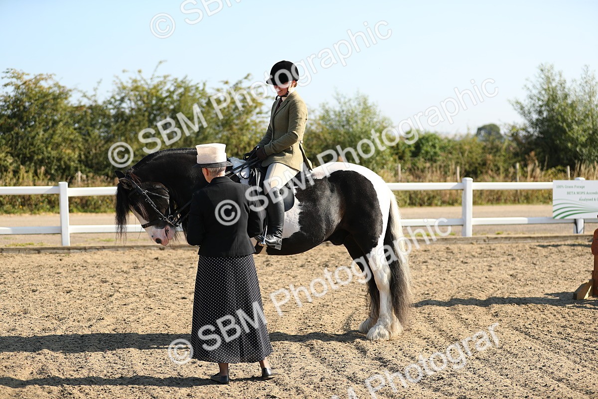 SBM_01170 - Class 42 Ridden Veteran