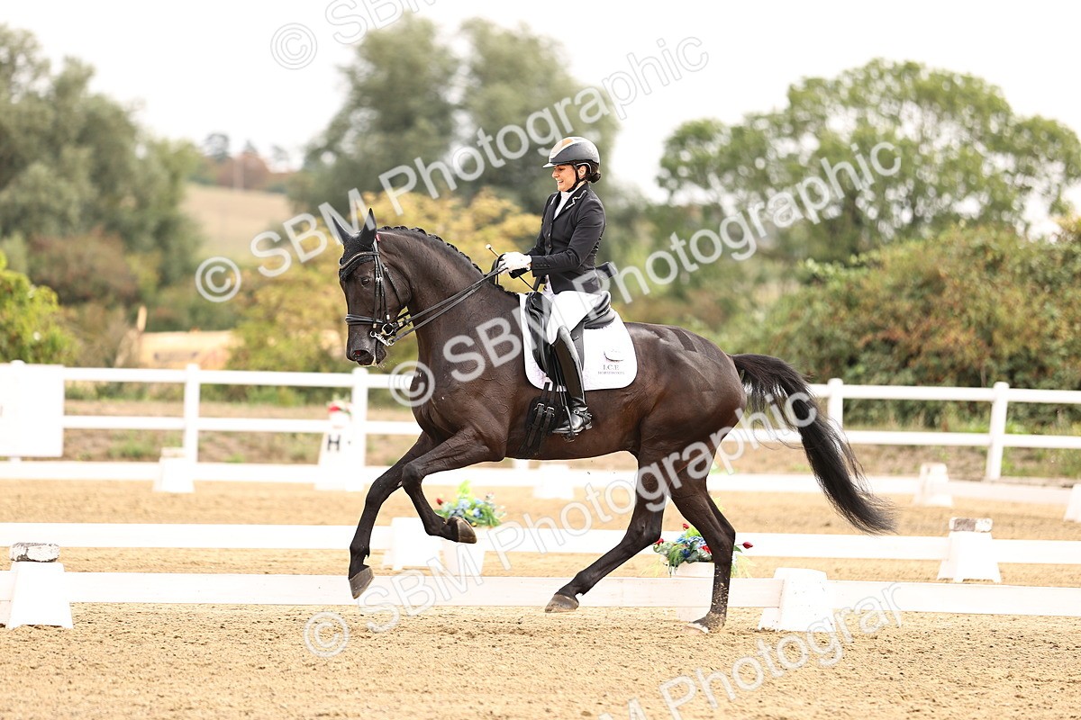 SBM_011627 - Class 1 - Medium 5