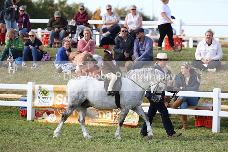 3E7A3776 - Supreme Championship