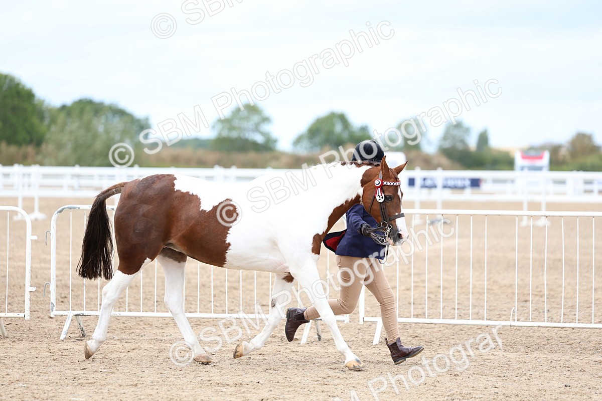 SBM_05992 - Class 29 - IH Veteran Pony