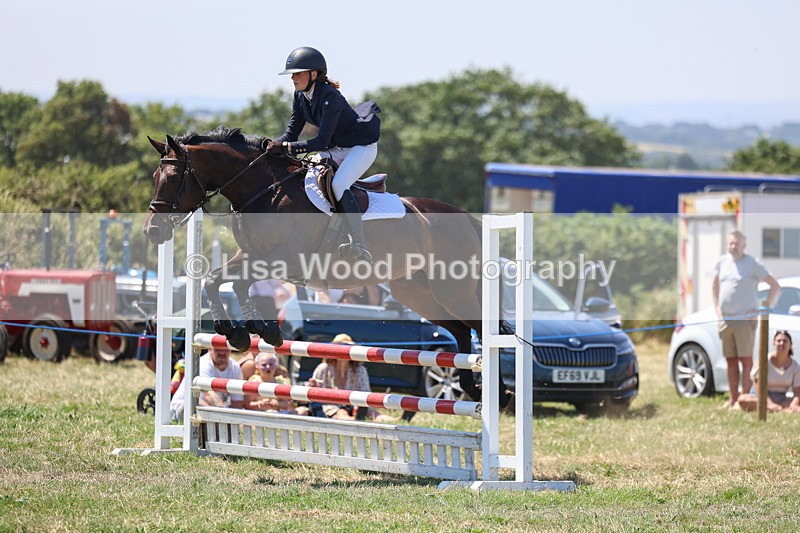3E7A4458 - Class 10: Senior British Novice/90cm open