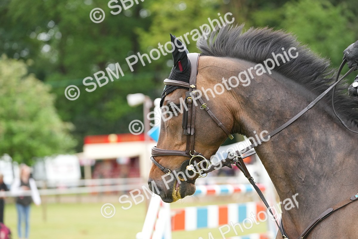 SBM_03415 - Class 201 - British Horse Feeds Speedi Beet Horse of the Year Show Grade  C