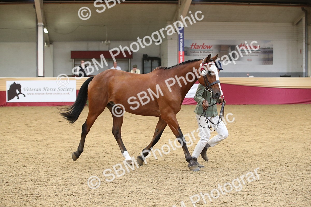 SBM_05694 - Class 9R - Regional IH Pre-Vet