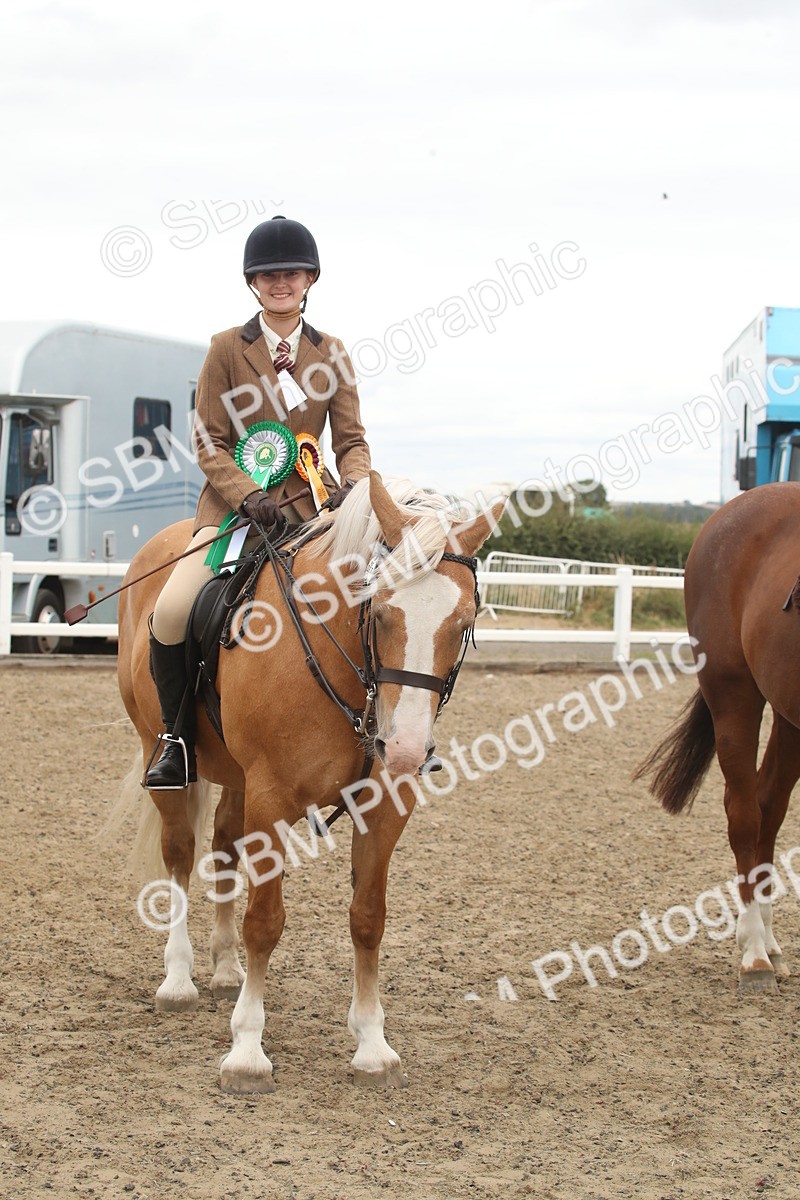 SBM_18315 - Class 509a - Working Veteran - 80cm (15-19)