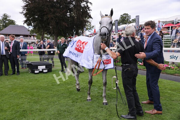 yr17082022r5-64 - Race 5 4.10pm Sky Bet Stayers Stakes
