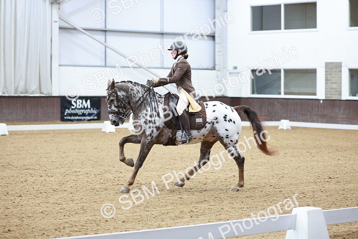 SBM_021375 - Class 14 - FEI Grand Prix - 17.40-18.34