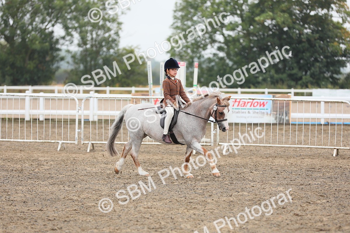 SBM_21823 - Class 806 - Young ridder 10 Yr & Under