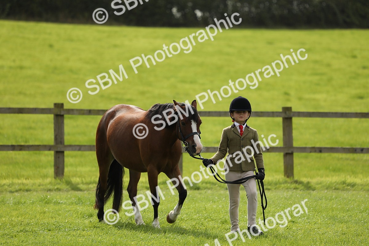 SBM_67688 - S39 - Junior Handler 8  Years & Under