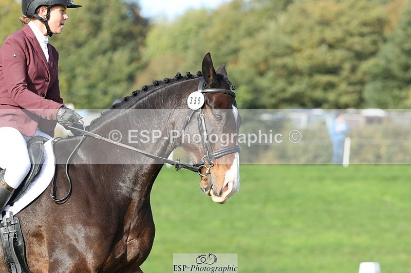 251024A-114757-10050 - D-355-Stacey.Priddle