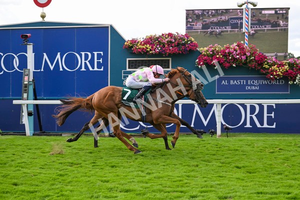 230824-Race 2-Vauban-8958 - Race 2 2.25pm Weatherbys Hamilton Lonsdale Cup Stakes