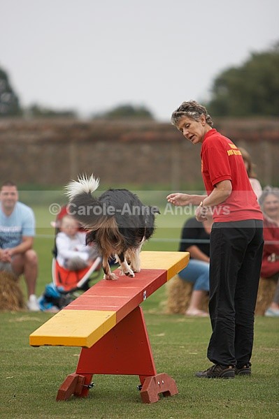  - Tendring Agility Group- St Osyth Summer Fete