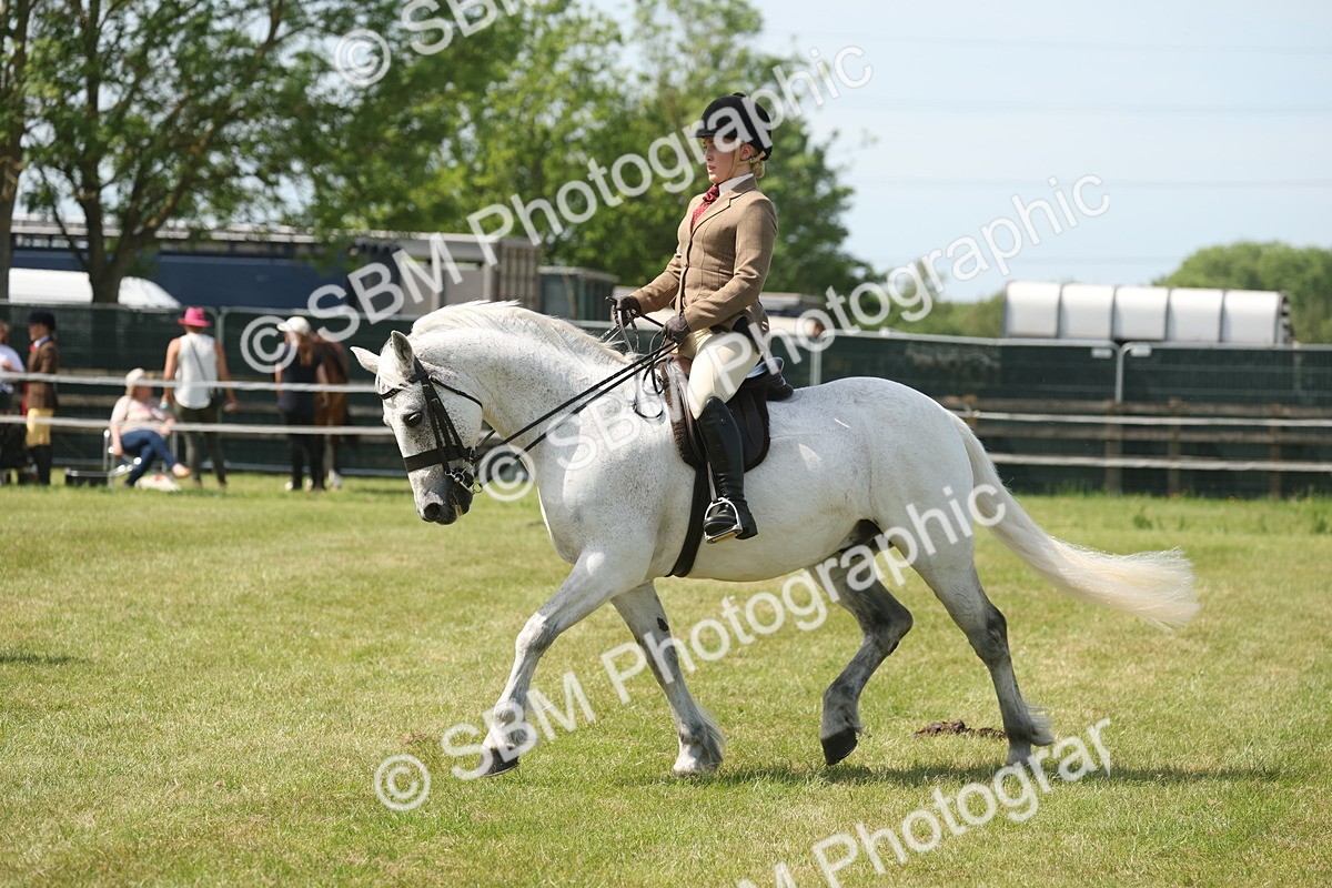SBM_07609 - Class 26-30 - Mountain and Moorland Ridden