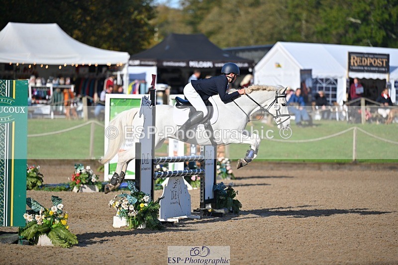 241027-100238-16205 - 381-William.Falango-JUST.BE.JACK