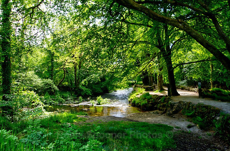 River Fowey approaching Golitha Falls - Cornwall Misc