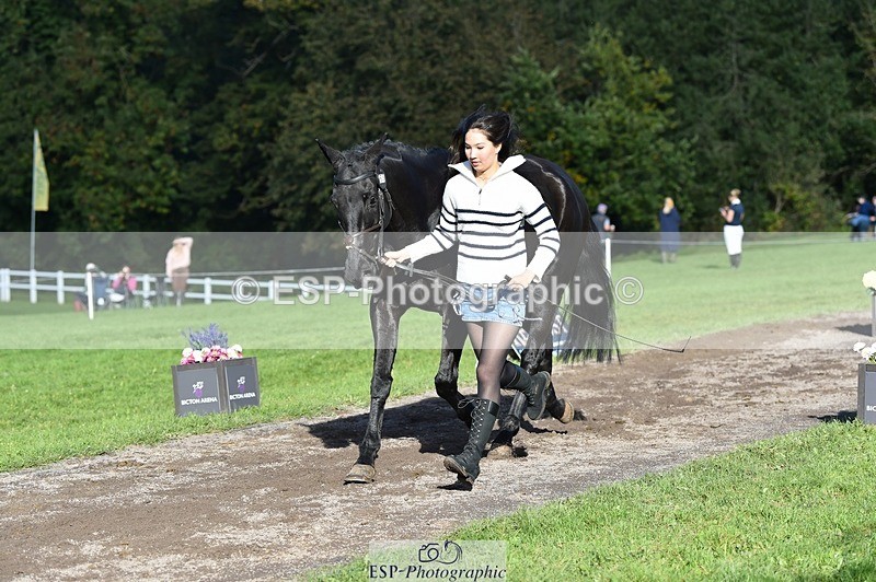 231022-112100-23905 - 563-SOUTHPAW-Kaia.Land-TrotUp+SJ