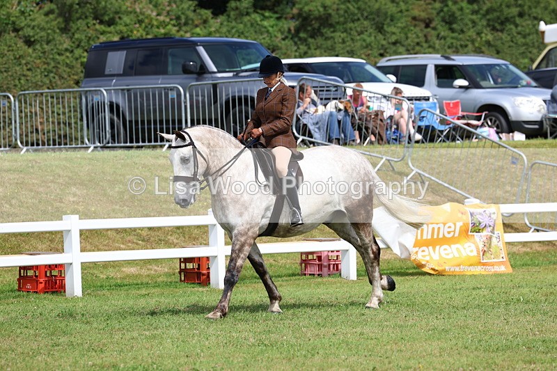 3E7A0207 - Class 6: Rising Star Maxi Cobs