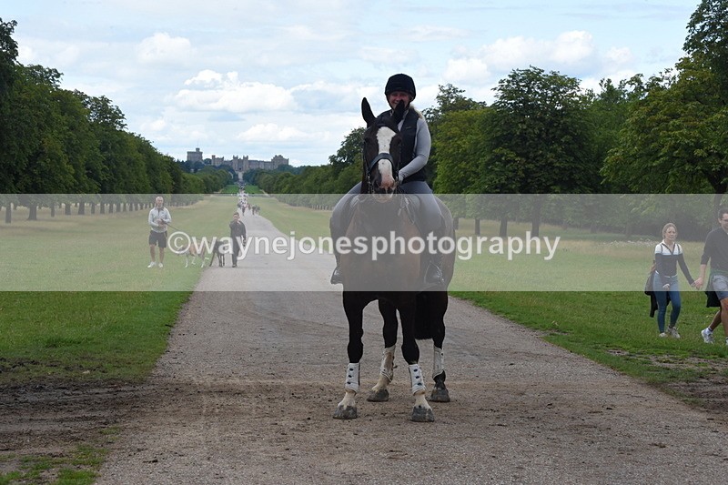 TT3_0523 - Time at Crossing 14:53 to 1526