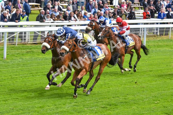 yr11052022r2-36 - Race 2 2.25pm Churchill Tyres Stakes