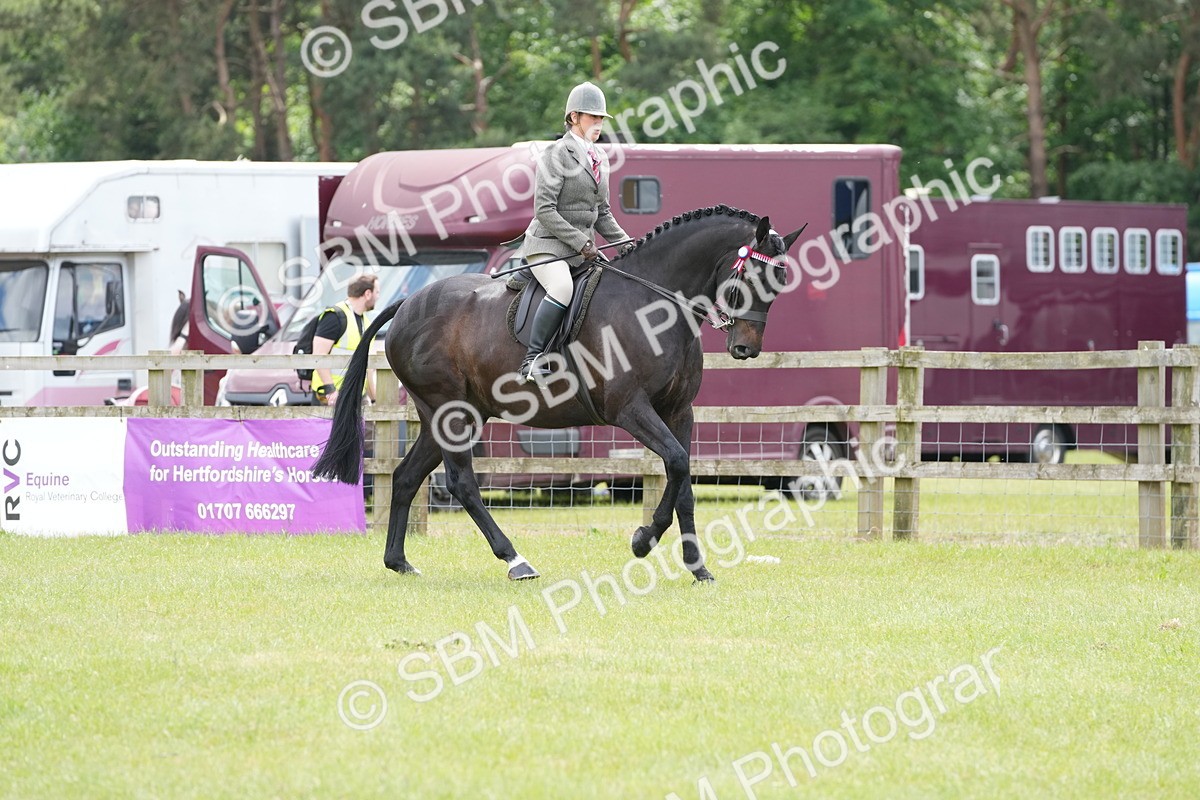 SBM_16157 - Class 105-106 - RIHS Riding Horses