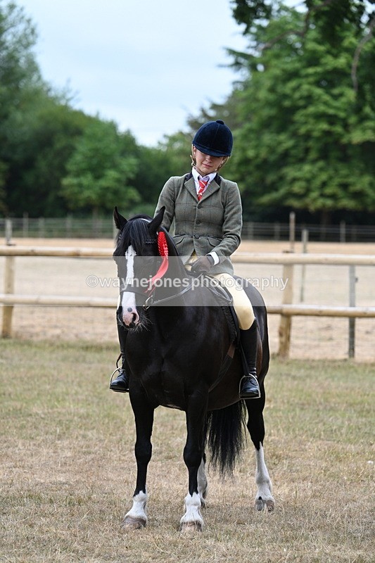 WJ7_0688 - Class 6 Ridden Mountain and Moorland