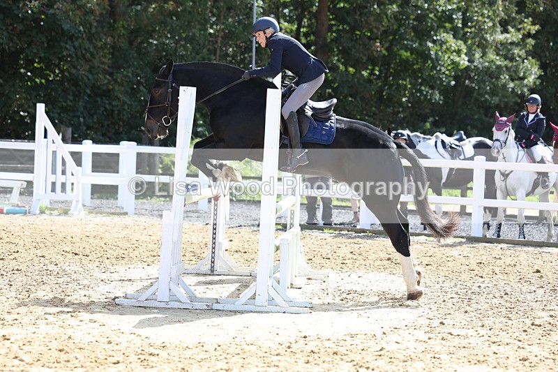 3E7A9488 - Class 9: Senior British Novice/90cm open