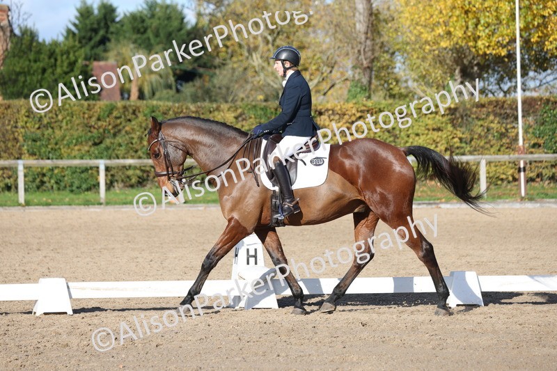 20251102-1013 - Class 5 - Elementary 5