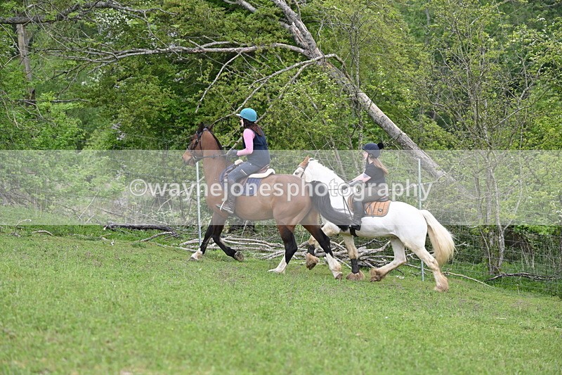 WJ6_3241 - A camera