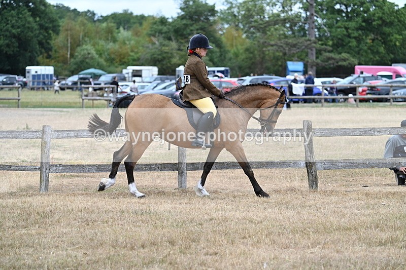 WJ7_7695 - Class 3 Family Mount