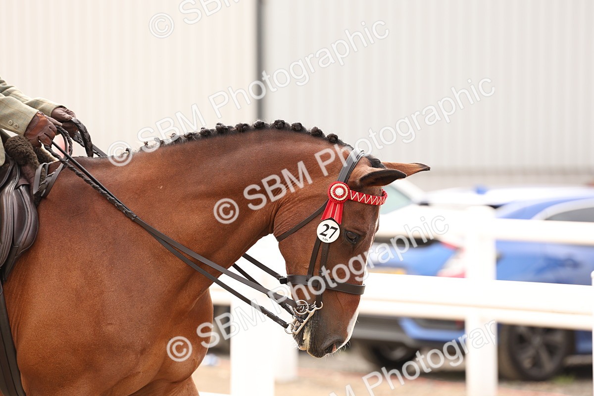 SBM_01624 - Class 52 - Ridden Veteran