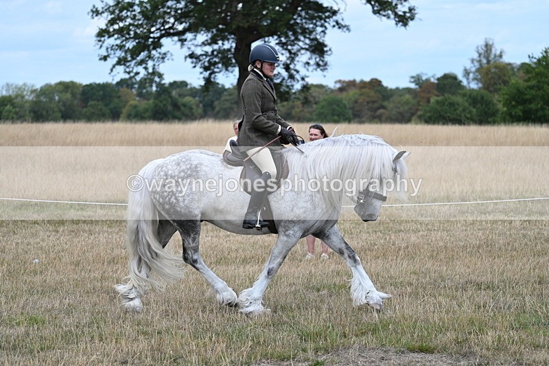 WJ7_4766 - Class 12 Ridden Cob