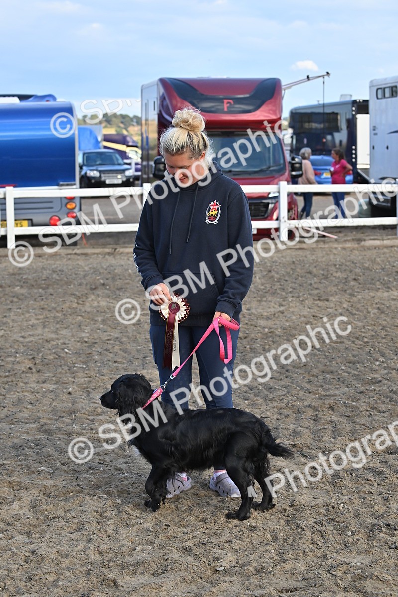SBM_09506 - Lorry Dogs