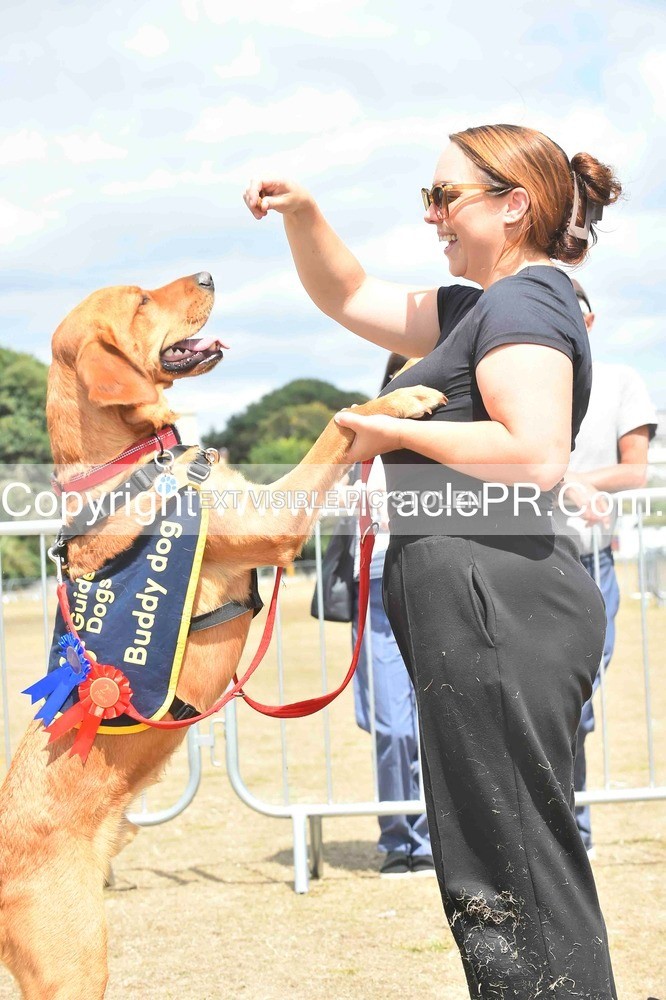 SH4_0250 - Dog show.
