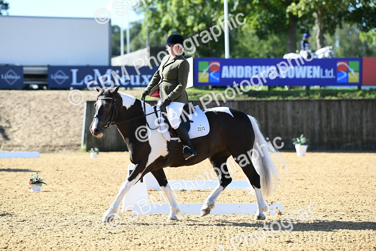 SBM_02731 - D7 Small Tour Championship Prelim 1