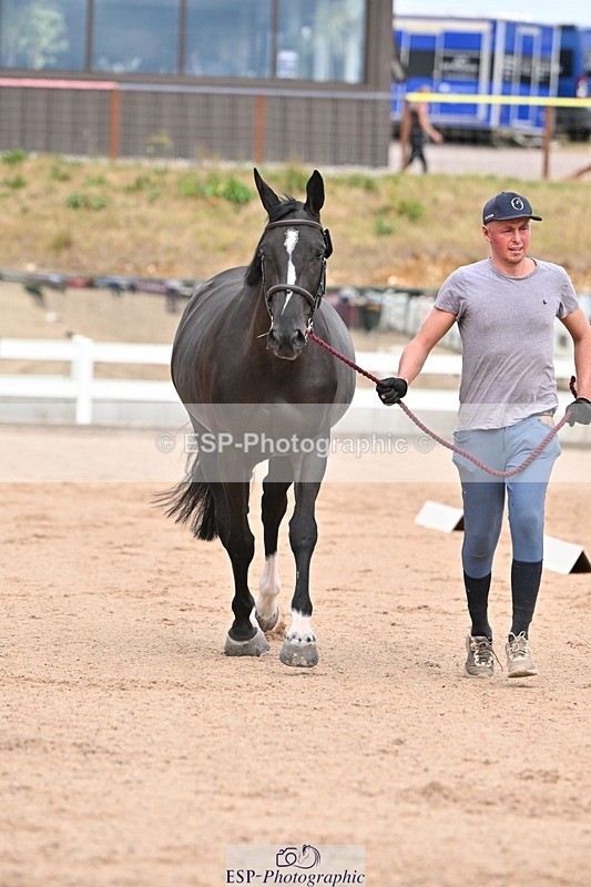 250716-162843-02643 - Trot Up 3.30 to 4.30