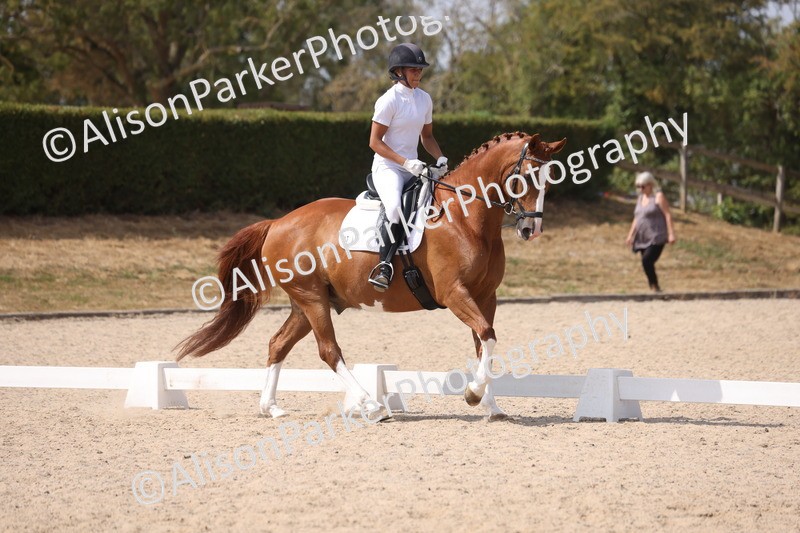 20260815-0982 - Class 5 - Novice 1