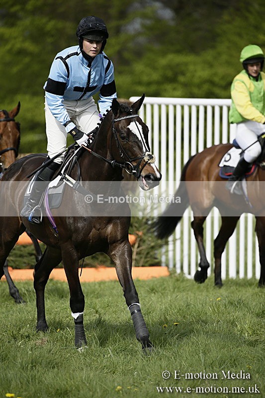 PtP 170417 271 - Old Berks Point-to-Point Lockinge 17/04/17
